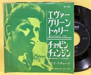 ■クリフ・リチャード■エヴァーグリーン・トゥリー■'64■Cliff Richard■洋楽■EPレコード