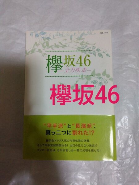 欅坂46-全力疾走- 平手友梨奈の真実?メンバーが抱えるアキレス腱とは!? (MSムック) 欅坂46応援グループ/編