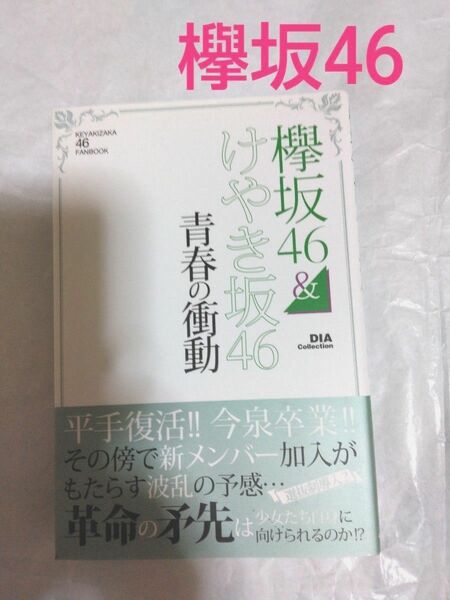 欅坂46&けやき坂46青春の衝動　本　発行元ダイアプレス　中古本