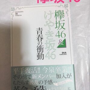 欅坂46&けやき坂46青春の衝動　本　発行元ダイアプレス　中古本