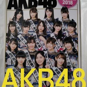 ＡＫＢ４８総選挙公式ガイドブック　２０１８ （講談社ＭＯＯＫ） ＡＫＢ４８グループ／著 公式