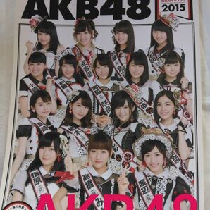 ＡＫＢ４８総選挙公式ガイドブック　２０１５ （講談社ＭＯＯＫ） ＡＫＢ４８グループ／著 AKB48 SKE48