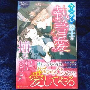 ヤンデレ騎士の執着愛に捕らわれそうです