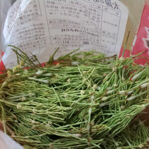 乾燥スギナ20g、沢山入れます、お茶