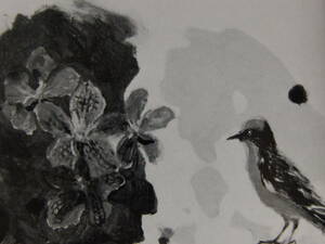 Art hand Auction Takama Soshichi, [Flores de orquídeas y pájaros rojos], De un raro libro de arte enmarcado., Cuidadosamente seleccionado, Recién enmarcado, mate enmarcado, Buen estado, maestro, pintor japonés, cuadro, pintura al óleo, Naturaleza, Pintura de paisaje