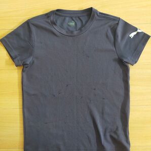 プーマTシャツ 140