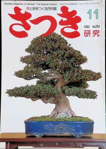 Satsuki Research 1993 11 № 284 ⑩ YB230505K1