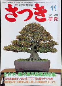 さつき　研究　古木・銘木皐月盆栽逸品集　1997　11　NO.333　　YB230505K2