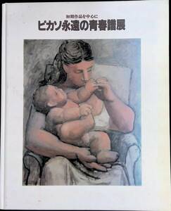 図録 初期作品を中心に ピカソ永遠の青春譜展 笠間日動美術館 1991年 YB230508M1