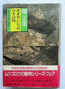 オオサンショウウオの川 天然記念物の動物たち　畑正憲