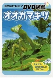 【中古】自然なぜなに？ DVD図鑑 オオカマキリ【訳あり】b48036【レンタル専用DVD】