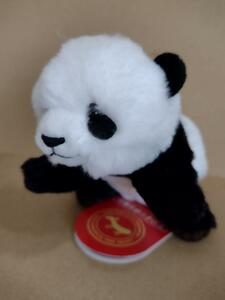 . virtue Panda as good as new 