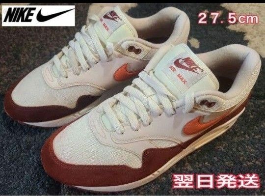 【美品レア送料無料】Nike Air Max 1 Mars Stone AH8145-104　大値下げお得に！