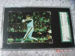 カルビー 77年プロ野球カード NO.9 (田淵/阪神) 青版・美品