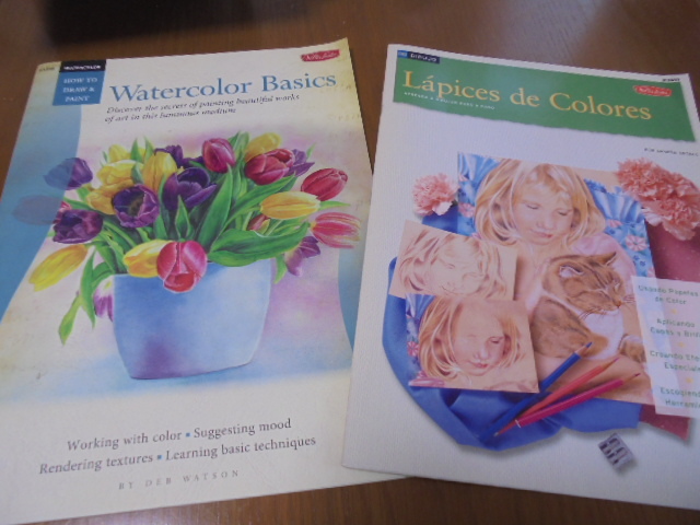 2 books in English: Watercolor painting, colored pencil lessons, portraits, still life, animals, landscapes, flowers lessons, large books, Painting, Art Book, Collection, Technique book