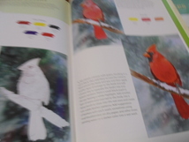 洋書2冊　水彩画　色鉛筆レッスン　人物　静物　動物　風景　花レッスン　大型本_画像6