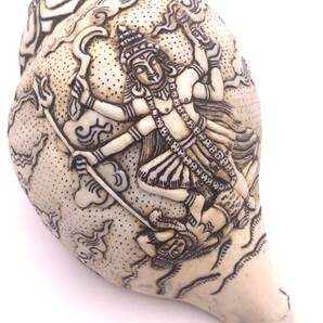 ◆チベット密教法具 法螺貝(シャンカ)カーリー