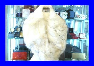 ○ Красота Sagafox Saga Fox Fur Duftler Shal F0030