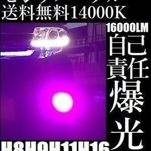 ■■LED フォグランプ 14000K ピンク パープル H8 H11 H16 紫の画像1