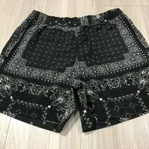 L NORTH FACE Novelty Versatile Shortノースフェイス バーサタイル ショーツ ショートパンツ ノベルティ バンダナ ペイズリー ブラック 2_画像2