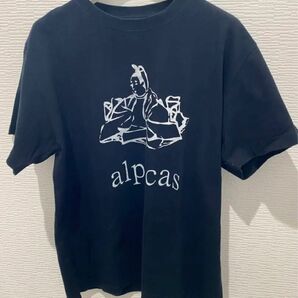 【メンズ Tシャツ サイズ L 黒】