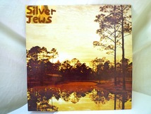 LP Silver Jews / Starlite Walker UK盤 1994年 Trains Across The Sea / New Orleans 名盤 英語解説 レコード ファン レア 必見 定形外OK_画像2