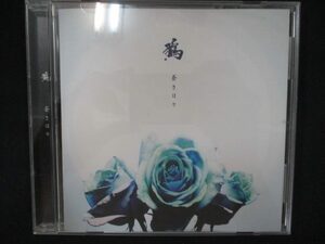 908＃中古CDS 蒼き日々/鴉