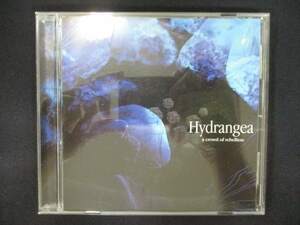 909＃中古CD HYDRANGEA/a crowd of rebellion