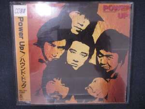 914＃中古CD Power Up!/HOUND DOG