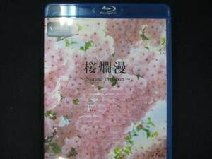 0011 中古BD＃ 桜爛漫~Spring in Japan~ V-music [Blu-ray]
