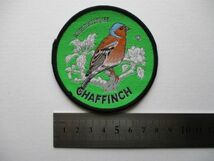 70s WORLD WILDLIFEズアオアトリ『CHAFFINCH』Collector Badgesワッペン/鳥バードウォッチング野鳥OUTDOOR アウトドアPATCHアップリケ V193_画像7