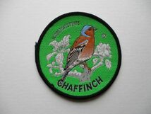 70s WORLD WILDLIFEズアオアトリ『CHAFFINCH』Collector Badgesワッペン/鳥バードウォッチング野鳥OUTDOOR アウトドアPATCHアップリケ V193_画像1