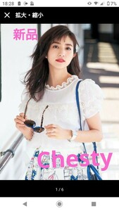  new goods Chesty Chesty Chesty blouse white blouse ( free shipping )