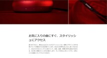 【限定完売品】 Bang & Olufsen AND CLOT. Beosound A1 2nd Gen　数量限定品！_画像6