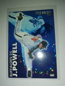 pa well 03 Calbee Professional Baseball chip s title holder parallel close iron Buffaloes 