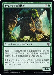 MTG マジック：ザ・ギャザリング ヤヴィマヤの滞留者 フォイル/セットブースター開封 団結のドミナリア DMU-191 日本語版 緑