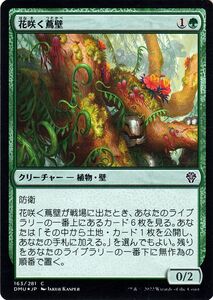 MTG マジック：ザ・ギャザリング 花咲く蔦壁 フォイル/セットブースター開封 団結のドミナリア DMU-163 日本語版 緑