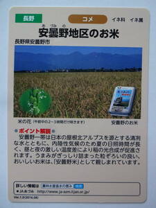 水の恵みカード　長野県　安曇野地区のお米　拾ヶ堰