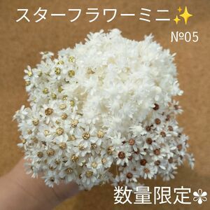 ハーバリウムボールペン　レジン アクセサリー 花材セット 気まぐれ素材　№05