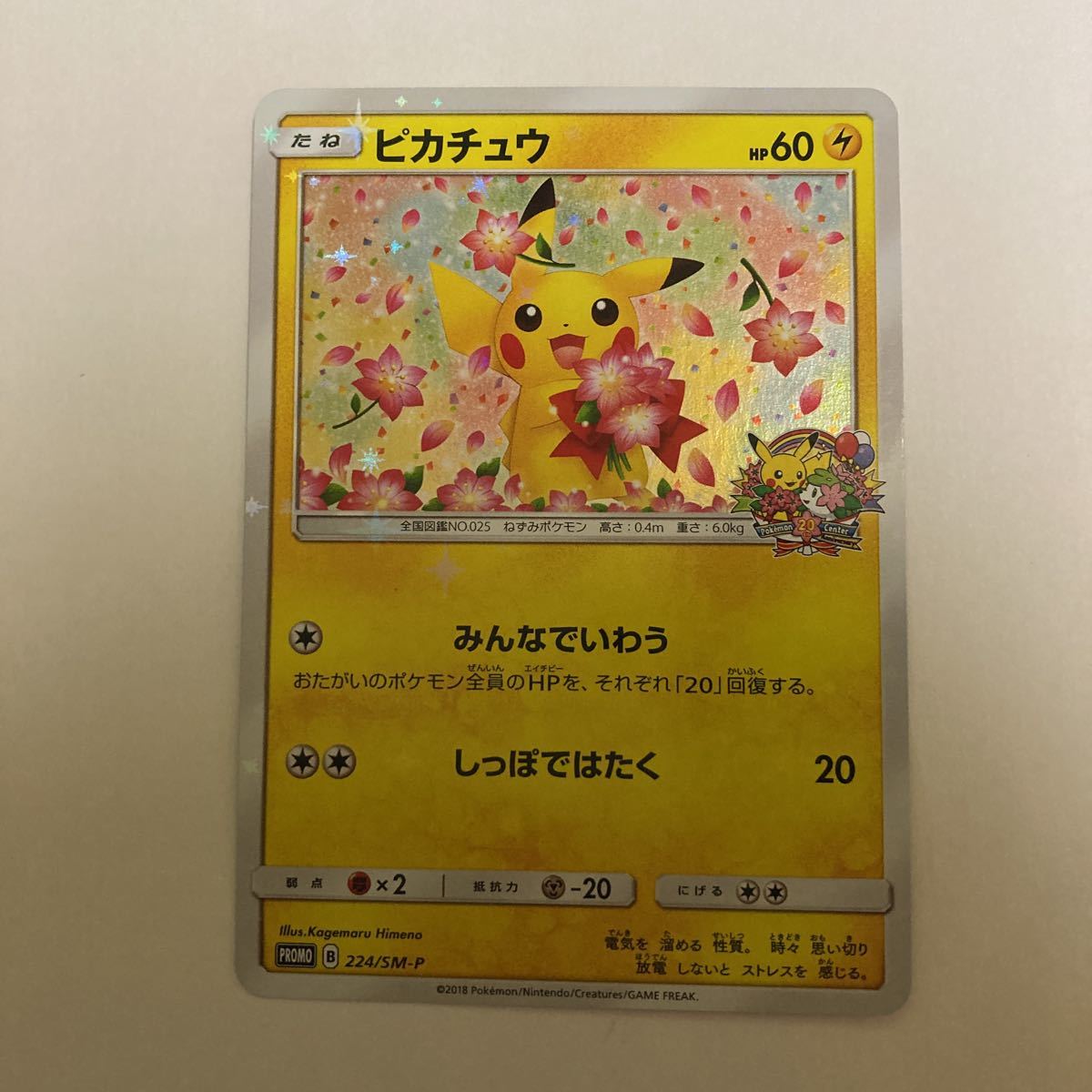 ヤフオク! -「みんなでいわう ピカチュウ」の落札相場・落札価格