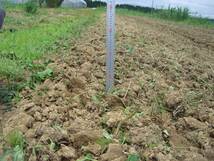 納豆菌酵素5：土壌改良活性剤・家庭菜園・団粒化促進：20リットル_画像3
