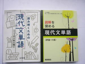 現代文単語 セット/桐原図書「読解を深める現代文単語〈評論・小説〉」＋文英堂「読み解くための 現代文単語 (評論・小説) 」