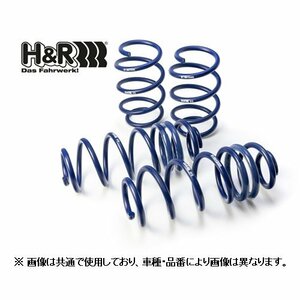 H＆R ダウンサス VW ゴルフトゥーラン TSIコンフォートライン/ハイライン 1TCAV 後期 '10/9～　29162-2