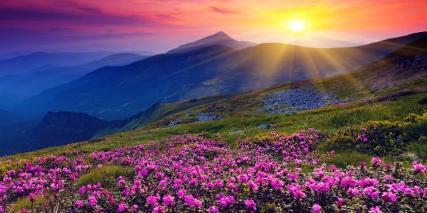 Sonnenaufgang, Sonnenaufgang, Plateau, Lavendel, spektakuläre Aussicht, geheimnisvolle Heilung, Panorama-Malstil, Tapetenposter, Panoramaversion, 1152 x 576 mm, abziehbarer Aufkleber 005S1, Drucksache, Poster, Wissenschaft, Natur