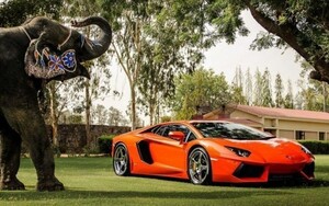 Art hand Auction Lamborghini Aventador LP700-4 Tapetenposter im orangefarbenen Malstil, extra große, breite Version, 921 x 576 mm (abziehbarer Aufklebertyp), 008W1, Auto, Motorrad, Automobilbezogene Waren, Andere