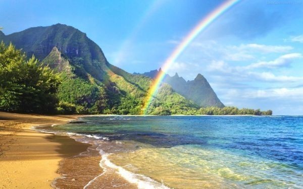 Île tropicale, Plage, et Rainbow Hawaii Wave Rainbow Sea Painting Style Papier peint Poster extra large version 921 x 576 mm (type d'autocollant pelable) 004W1, imprimé, affiche, autres