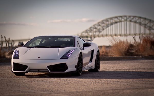 Lamborghini Gallardo LP570-4 White Painting Style Wallpaper Poster Wide Version 603 x 376mm (Peelable Sticker Type) 001W2, car, motorcycle, Automobile related goods, others
