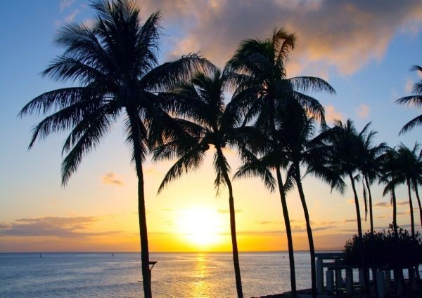 Tapetenposter im Waikiki-Strand-Sonnenaufgang-Morgensonne-Palme-Hawaii-Meer-Malstil, A2-Version, 594 x 420 mm (abziehbarer Aufklebertyp) 004A2, Drucksache, Poster, Wissenschaft, Natur