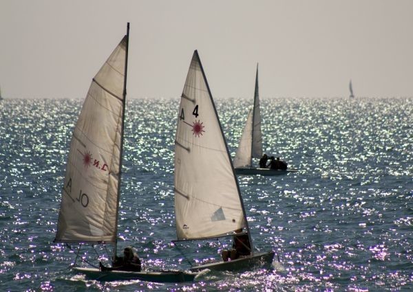 Yacht-Rennen, Segeln, Segelyacht, Boot, Schiff, Meer, Gemälde, Tapetenposter, extragroß, A1-Version, 830 x 585 mm, abziehbarer Aufkleber 010A1, Antiquität, Sammlung, Fahrzeug, Schiff