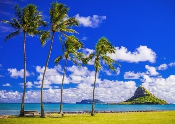 Tapetenposter im Malstil „Hawaii Oahu & Chinaman's Hat Morikoi Kahana, unbewohnte Insel, Meer, Berge, extragroß, A1-Version, 830 x 585 mm, abziehbarer Aufkleber 030A1, Drucksache, Poster, Andere